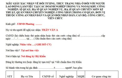 huong dan ke khai mau 03 ve xac nhan doi tuong chua co nha o