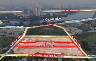 Mặt bằng The Park Lane Linh Đàm